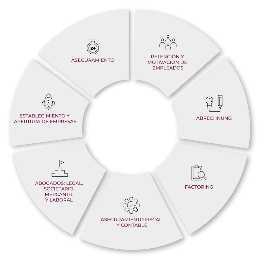 asesoria-financiera-para-empresas-grafico-areas-asesoramiento